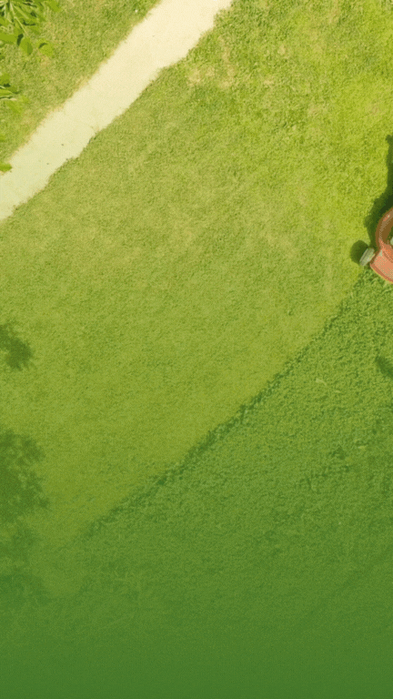 Création de Jardins Sur Mesure par Oudin Nature et Jardin à Bourg-en-Bresse