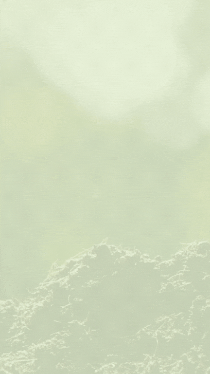 Gestion des déchets verts par Oudin Nature et Jardin à Bourg-en-Bresse