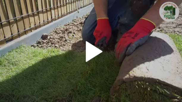 Oudin Nature et Jardin : Pose de Pelouse Professionnelle à Bourg-en-Bresse