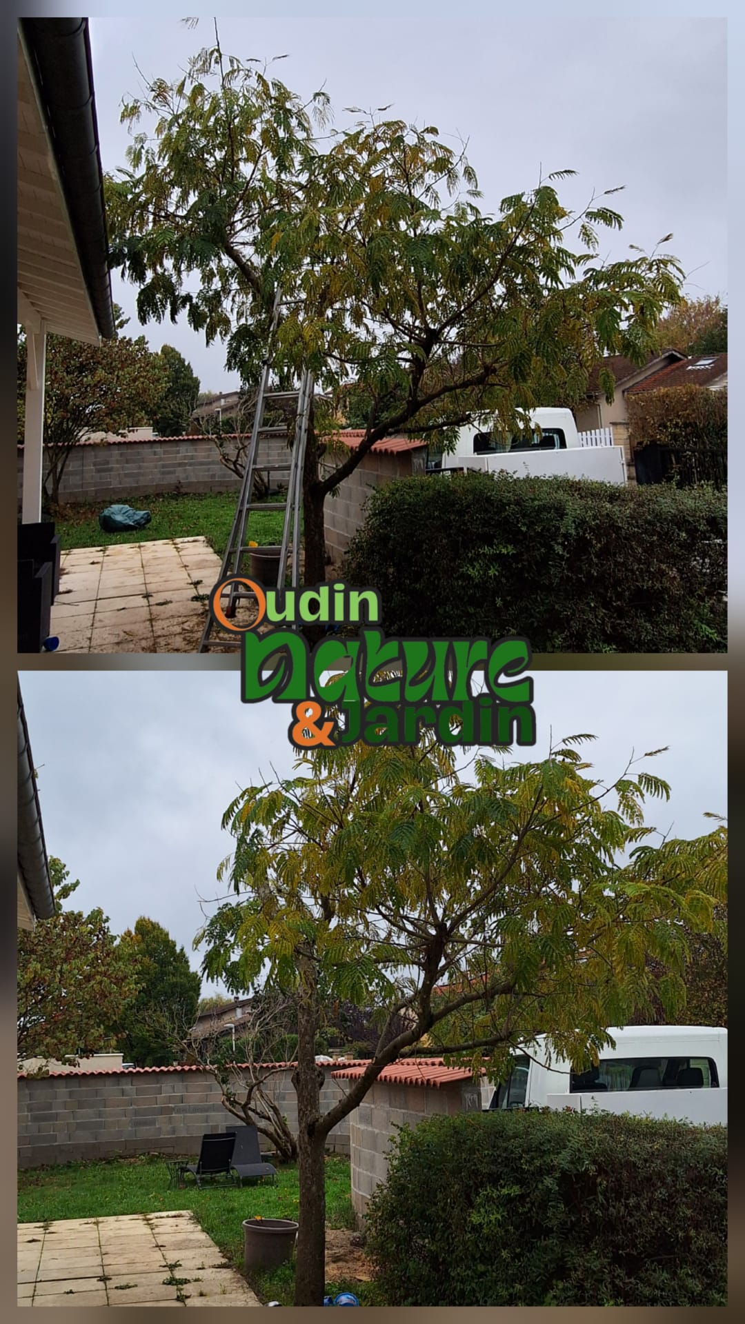 Chantier 15 - Oudin Nature & Jardin