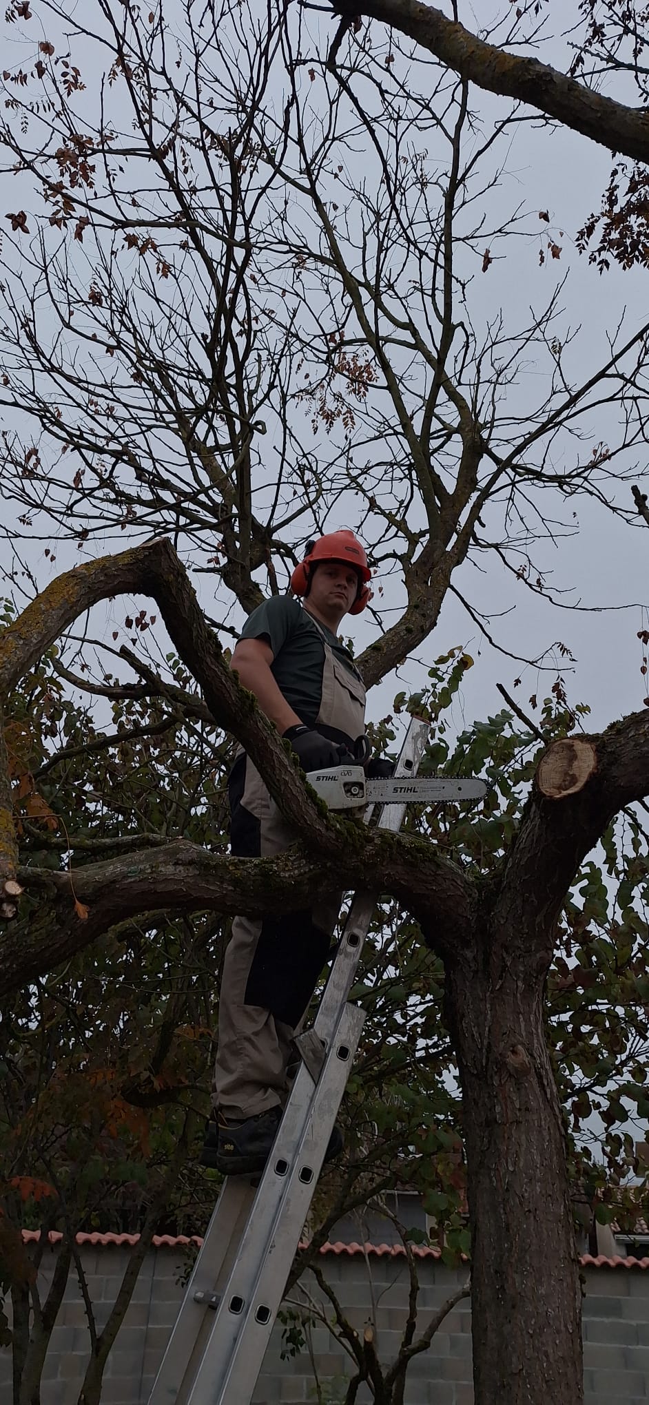 Chantier 16 - Oudin Nature & Jardin