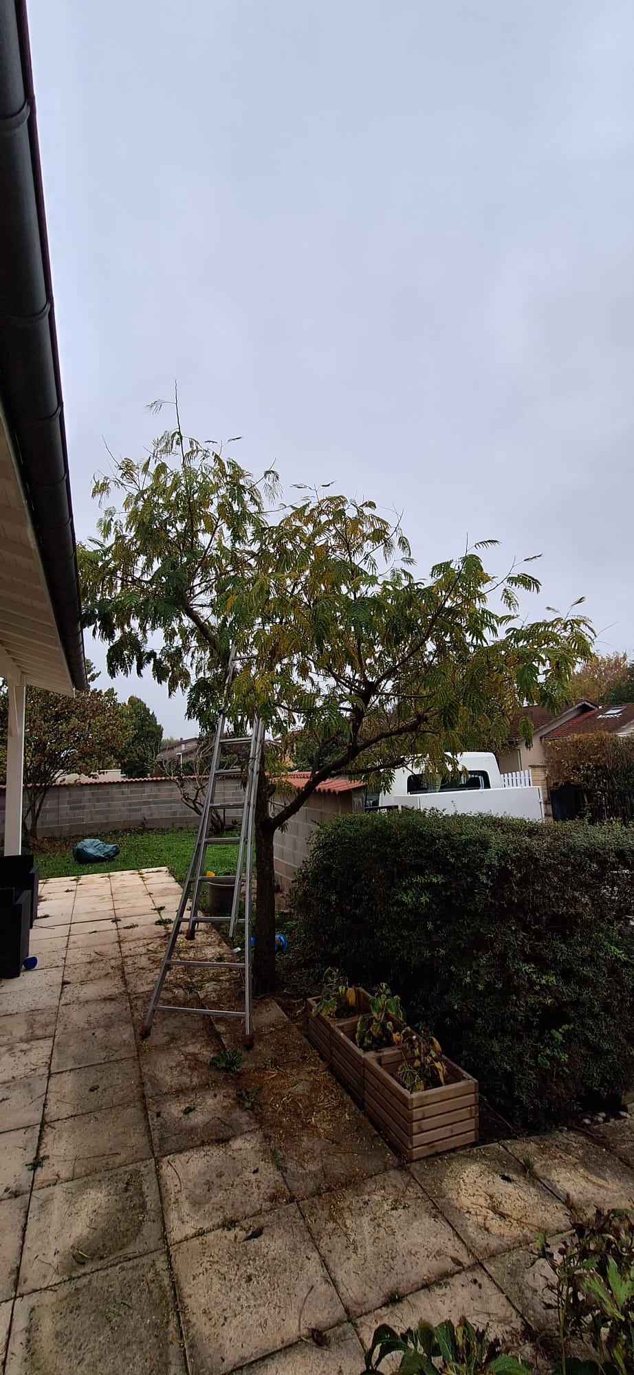 Chantier 17 - Oudin Nature & Jardin