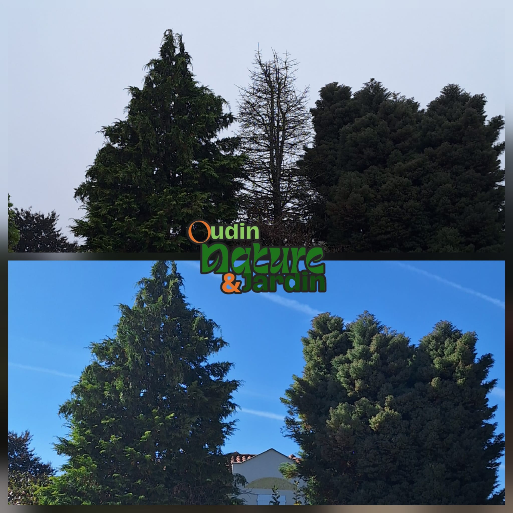 Chantier 3 - Oudin Nature & Jardin