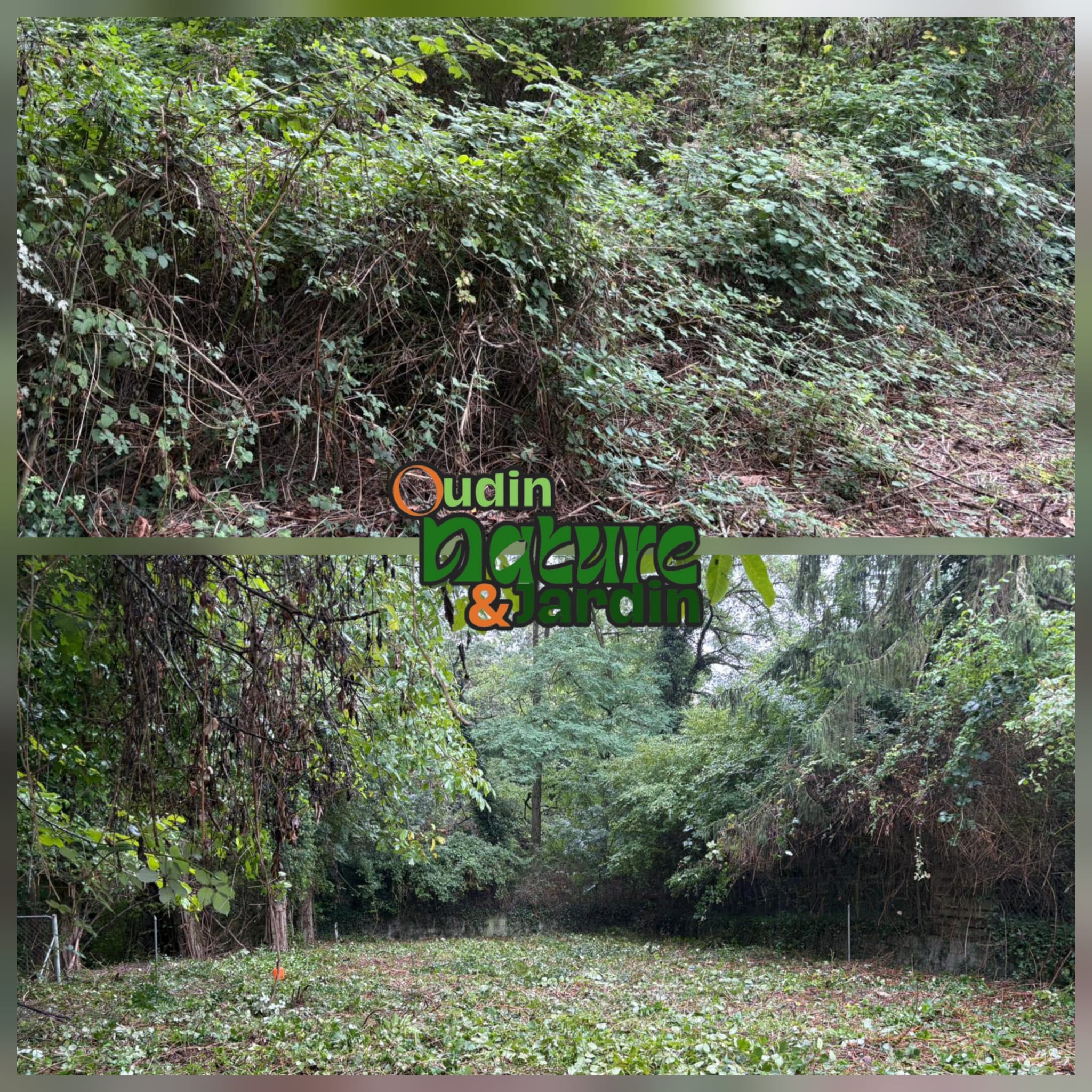 Chantier 5 - Oudin Nature & Jardin